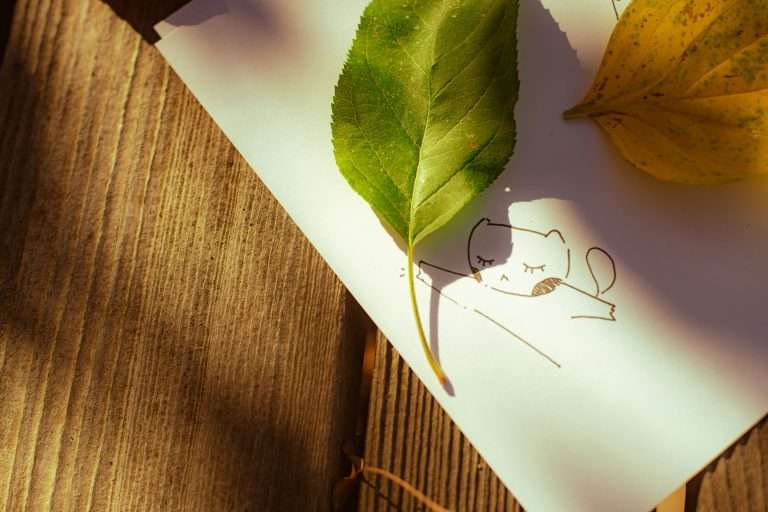 Creative Workshop for Self-Exploration "What Is Your Healthy Place?