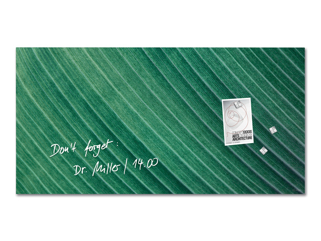 Glasmagneetbord Sigel PALM LEAFS mat 910x460x15mm 3 magn