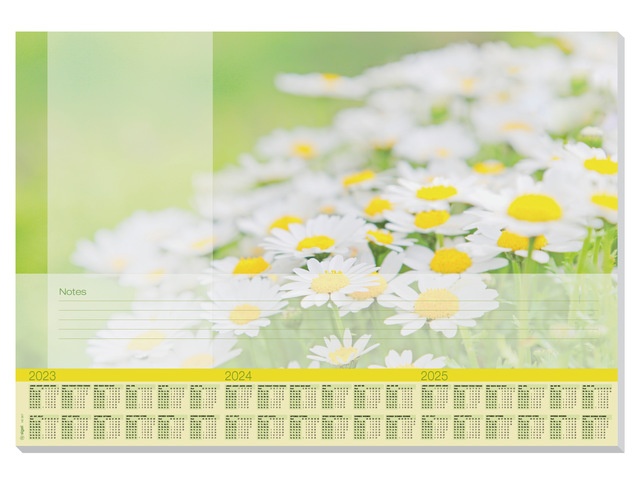 Designonderlegger Sigel Lovely Daisies 23/24/25