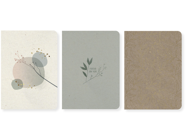 Schrift Soft Scenes A5 SC lijn 80gr, 80pag, krimp a 3st.
