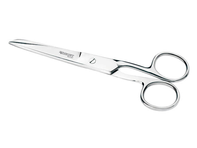 Schaar Westcott 12cm RVS glanzend