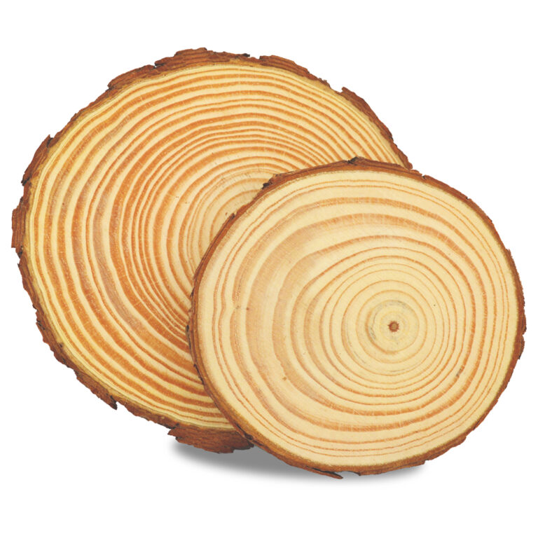Meyco Houtschijven - rond 16-18cm, dikte 1,5cm