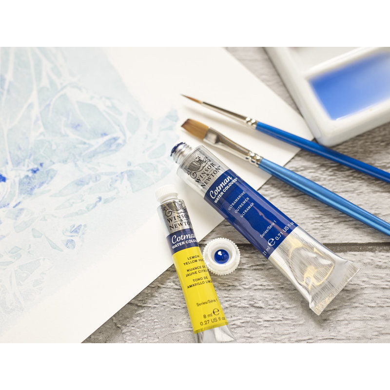 Winsor & Newton Cotman Watercolour 21ml