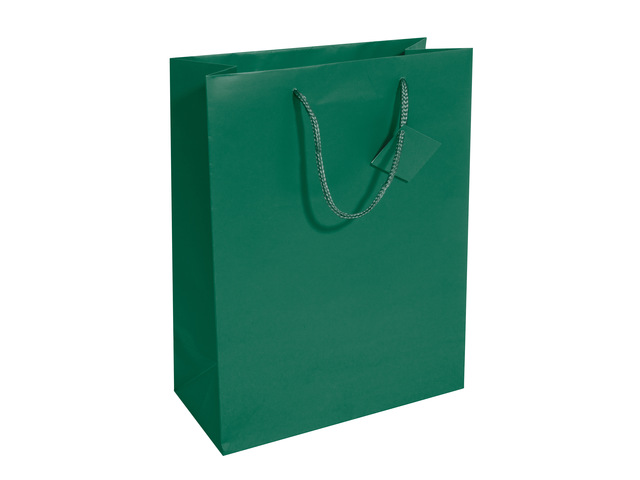 Cadeautas Sigel groot, opaal groen, matte lak,