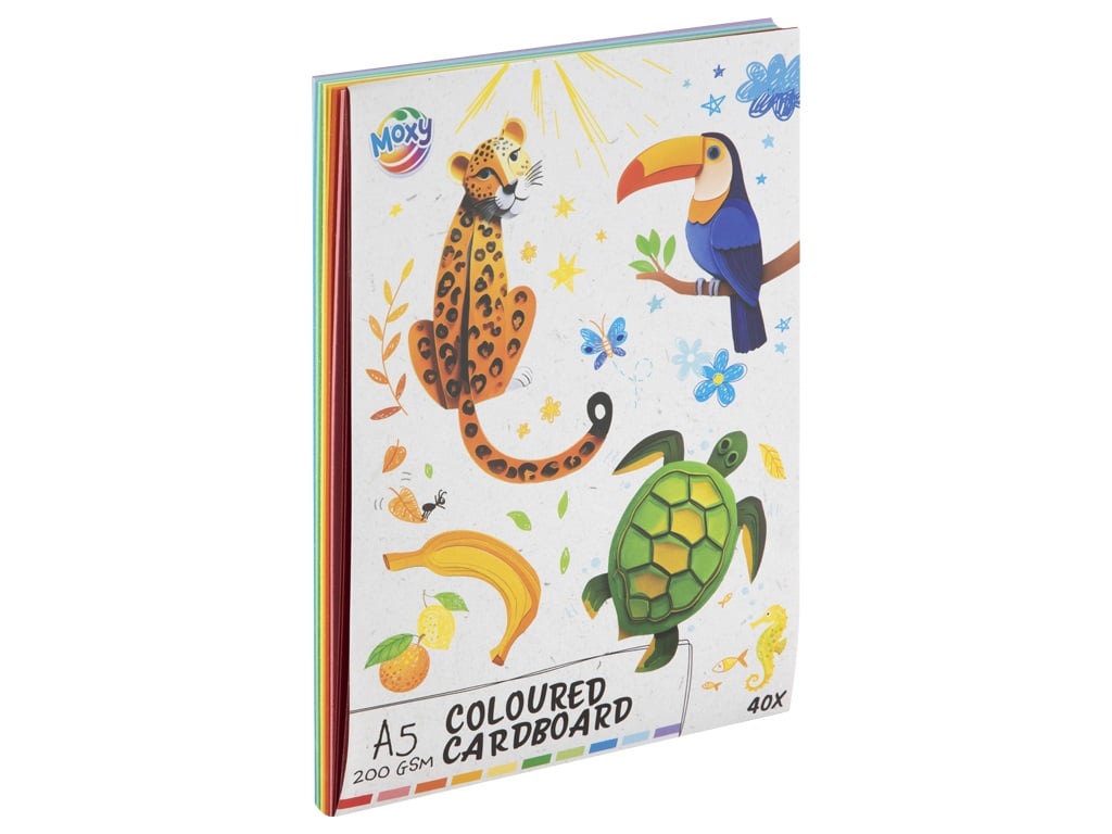 Gekleurd Karton Papier 10 kleuren A5/A3