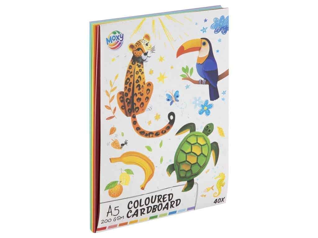 Gekleurd Karton Papier 10 kleuren A5/A3