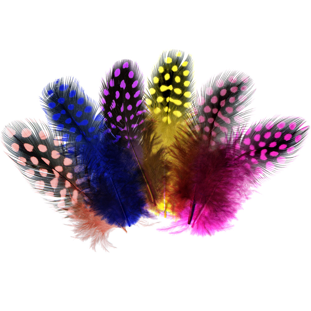 Parelhoen veren gemengd kleuren, 24 stuks