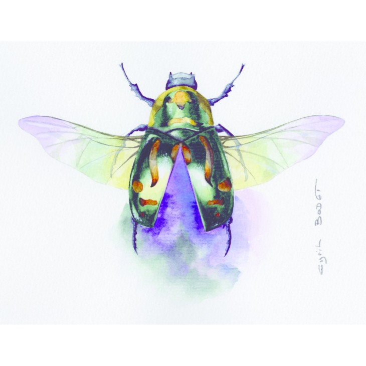 IMG_1673-2.png