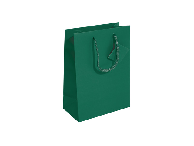Cadeautas Sigel Medium, opaal groen, matte lak,