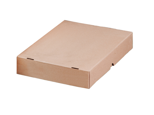 Paraatdoos Raadhuis hersluit- baar 305x215x50mm 10 stuks