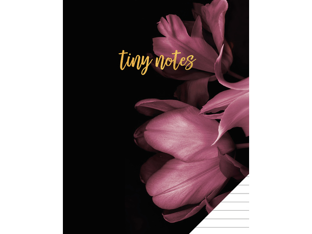 Schrift A5 lijn Classy Black Pak a 3 stuks 80 blz 60gr