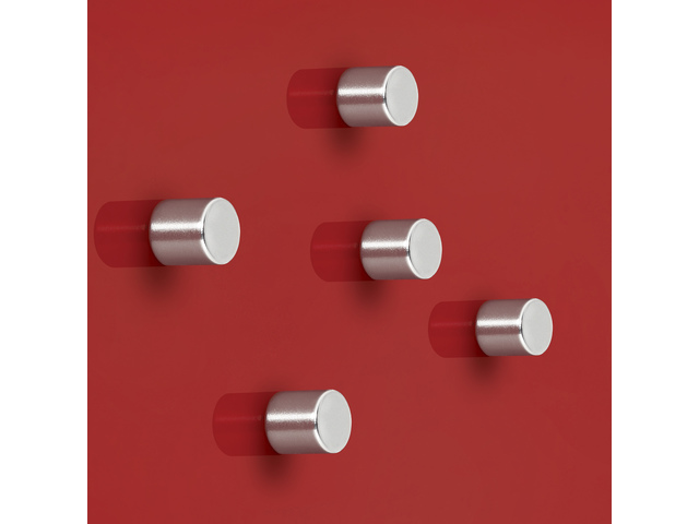 Magneten Sigel 10x10mm rond C5 sterk zilver set 5 stuks